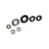 Transmission Bearing Set 