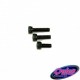 M2.5 x 10 Socket Cap Screws (10Ud.)