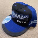 Global 3D 2016 Cap